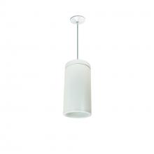 Nora NYLD2-6P10127WWW - 6" Cobalt Pendant Mount Cylinder, White, 1000L, 2700K, White Reflector, 120V Triac/ELV Dimming