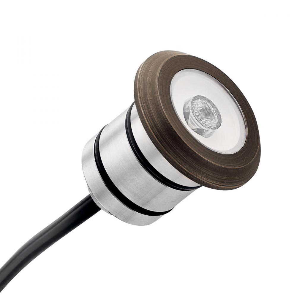 100 Lumen LED Mini All-Purpose Recessed in Black Brass