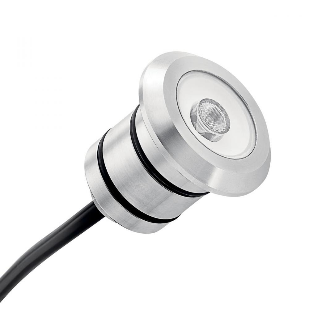 200 Lumen Mini All-Purpose Recessed in Black Brass