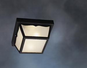 10.5" Polypropylene 2 Light Flush Mount with Frosted Glass in Black