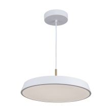 Artcraft AC6901WH - Pendant