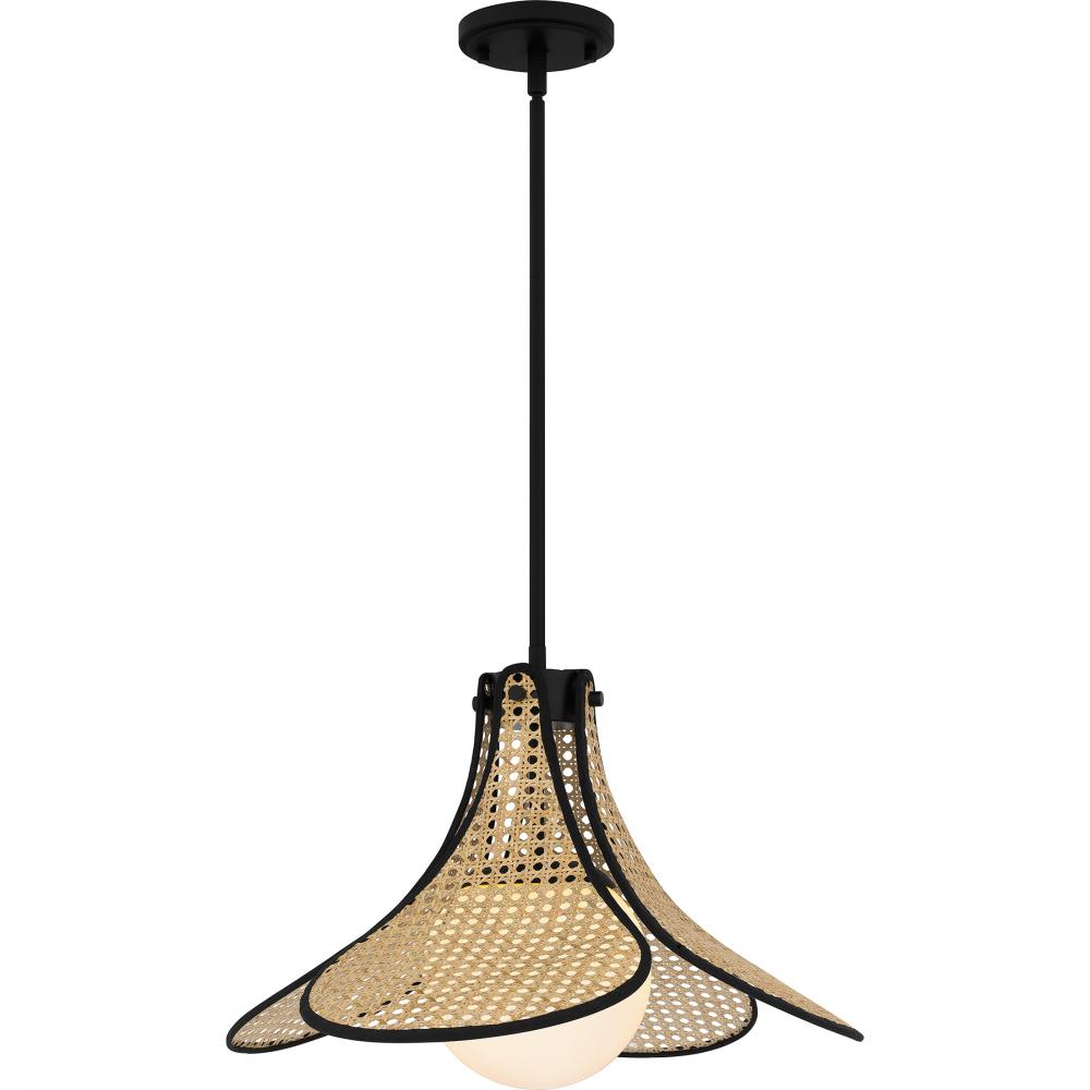 Delilah 1-Light Matte Black Pendant Light