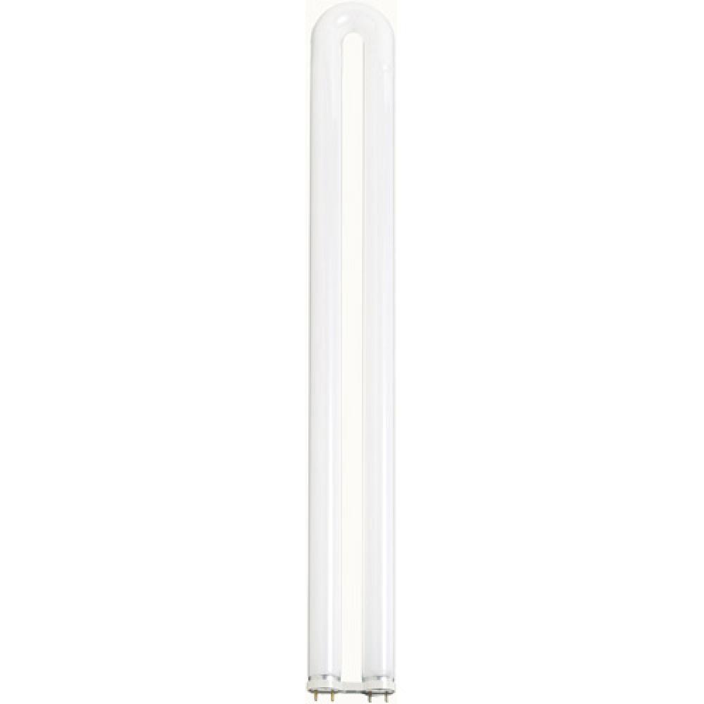 31 Watt; T8; U-Bend Fluorescent; 3000K Warm White; 82 CRI; Medium Bi Pin base; Shatter Proof