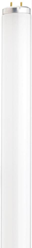 32 Watt; T12; Black light Fluorescent; Medium Bi Pin base; Shatter Proof