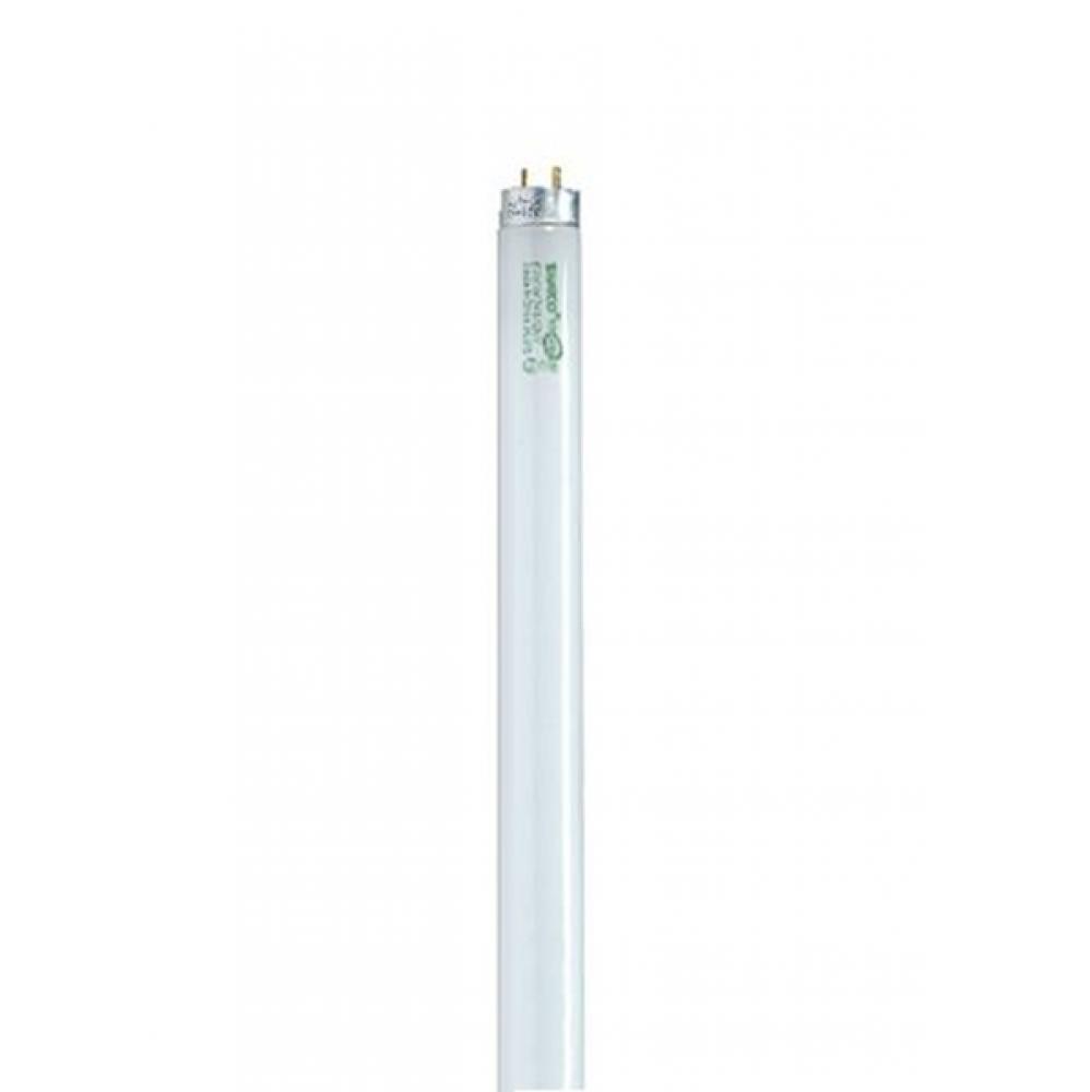 32 Watt; T8; Fluorescent; 5000K Natural Light; 82 CRI; Medium Bi Pin base; Shatter Proof
