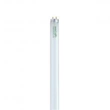Satco Products Inc. S8445/TF - 32 Watt; T8; Fluorescent; 4100K Cool White; 82 CRI; Medium Bi Pin base; Shatter Proof