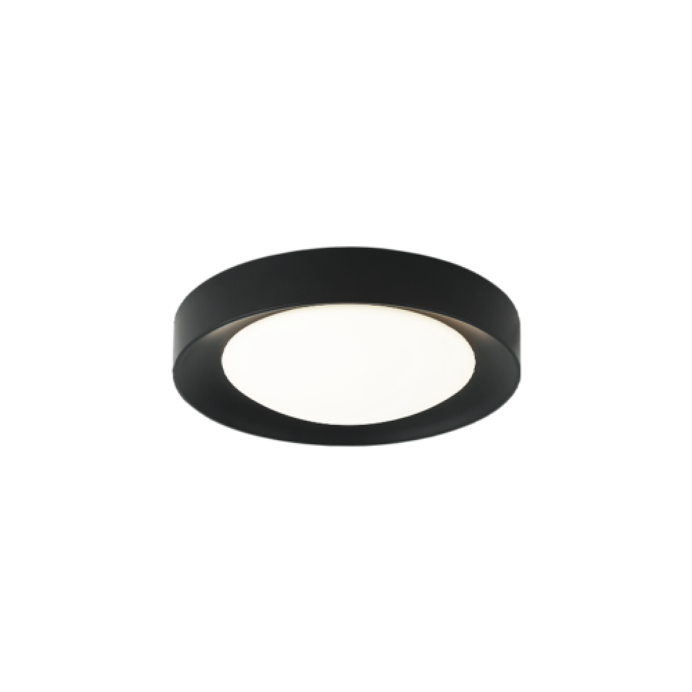 Essene Black Ceiling Mount