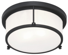 Matteo Lighting M14902MB - Caisse Claire Ceiling Mount