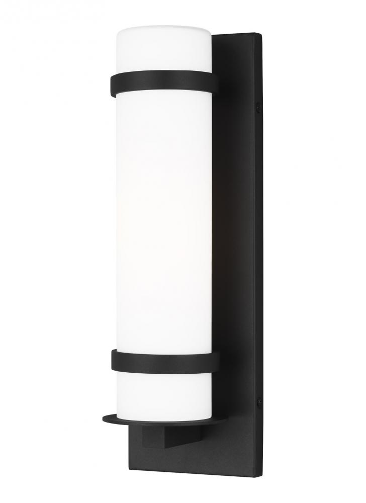 Alban Small One Light Outdoor Wall Lantern