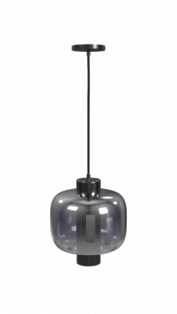 Cosmopolitan 12" Pendant in Gunmetal with Clear Glass
