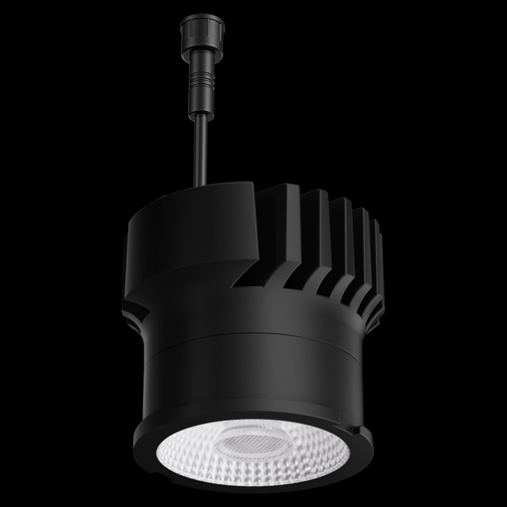 CNLSS LGT ENGIN 30K FOR ELK SRS W/O DRVR