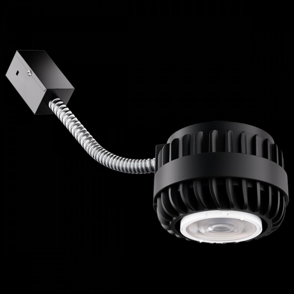 BIRCH LGHT ENGIN 3000/4000/5000LM 30K