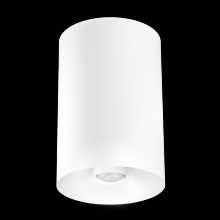 Elco Lighting E42FW-07SD-FC - 4" WHT SRFC MNT 18°-50°BM 750LM SSD