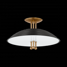 Troy C4416-PBR/SBK - LARKIN Semi Flush