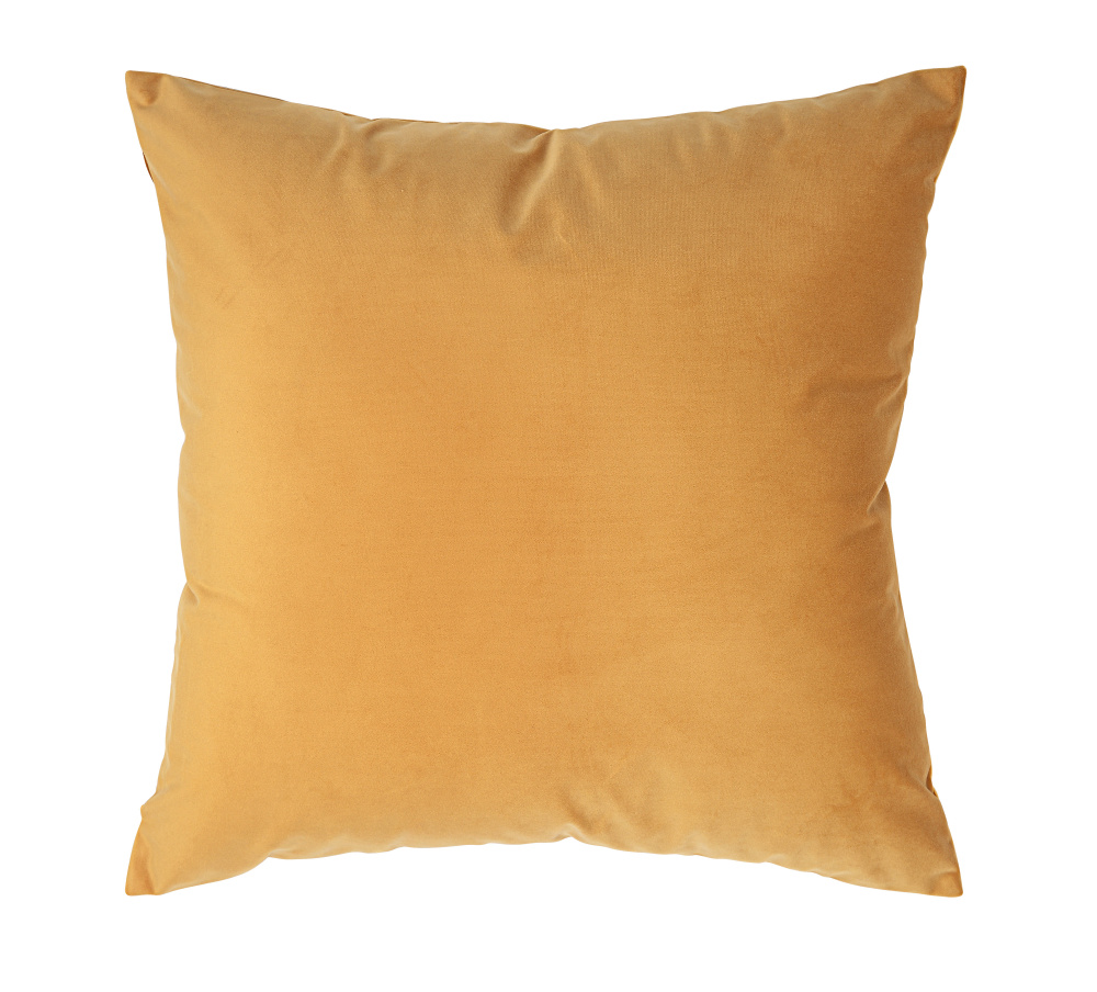Jonquil 20X20 Indoor Pillow, Mango