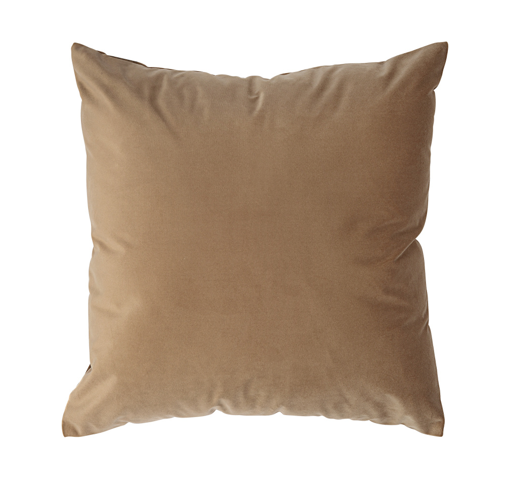 Alchemilla 20X20 Indoor Pillow, Camel