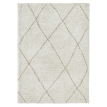 Renwil RALL-10002-57 - Allen 5’3X 7’3 Machine tufted Indoor Rug, Off-white