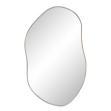 Renwil MT2607 - Noria 45" Tall Irregular Rectangular Oval Mirror, Burnished Brass