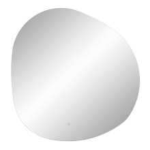 Renwil MT2568 - Terni 45" Tall Irregular LED Mirror, Clear