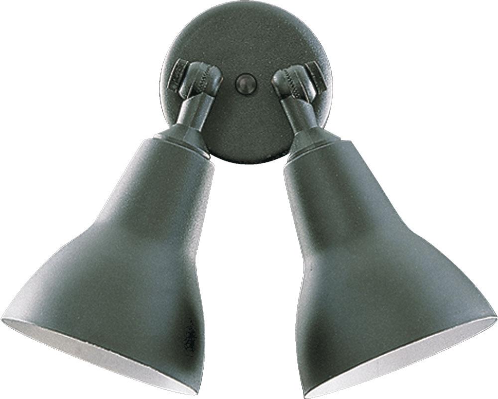 2LT PAR LAMP FLOODLGT-BK