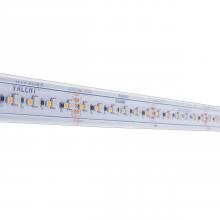 Diode Led DI-24V-VL-RGBW-W100 - STRIP/TAPE LIGHT