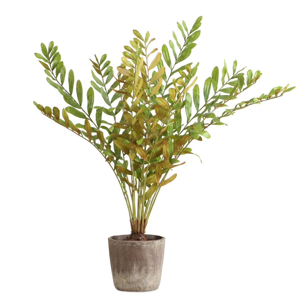 Uttermost Zamia Palm Accent In Planter