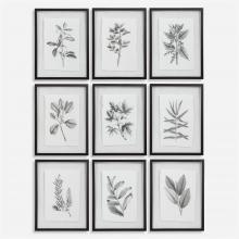 Uttermost 41617 - Uttermost Farmhouse Florals Framed Prints Set/9