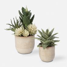 Uttermost 60208 - Uttermost Seaside Succulents Set/2